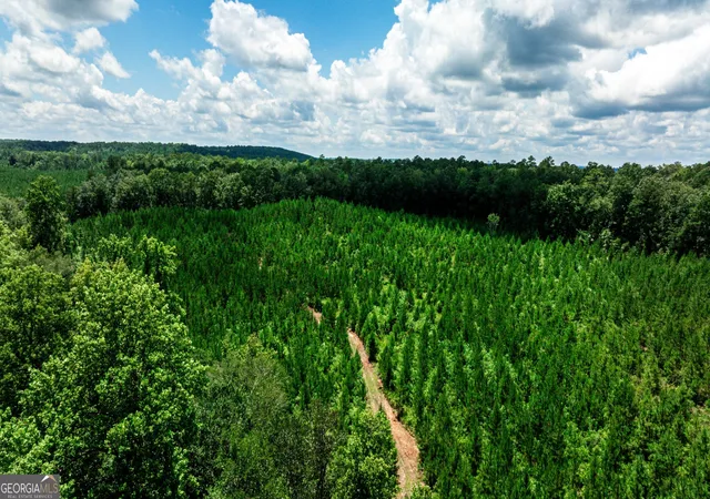 3rd image of Tbd Wriley Rd, Mcintyre, GA 31054 | MLS# 10795945