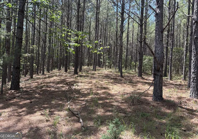 Homes for sale in Mcintyre, GA | Tbd Wriley Rd, Mcintyre, GA 31054 | MLS# 10795945