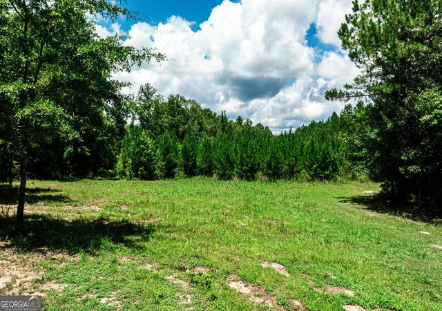 4th image of Tbd Wriley Rd, Mcintyre, GA 31054 | MLS# 10795945