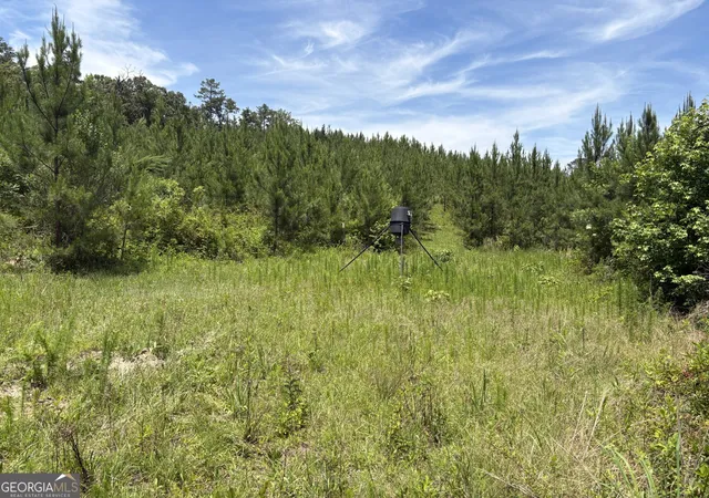 51st image of Tbd Wriley Rd, Mcintyre, GA 31054 | MLS# 10795945
