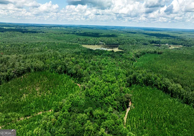 5th image of Tbd Wriley Rd, Mcintyre, GA 31054 | MLS# 10795945