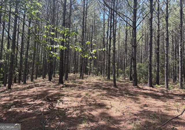 Homes for sale in Mcintyre, GA | Tbd Wriley Rd, Mcintyre, GA 31054 | MLS# 10795945