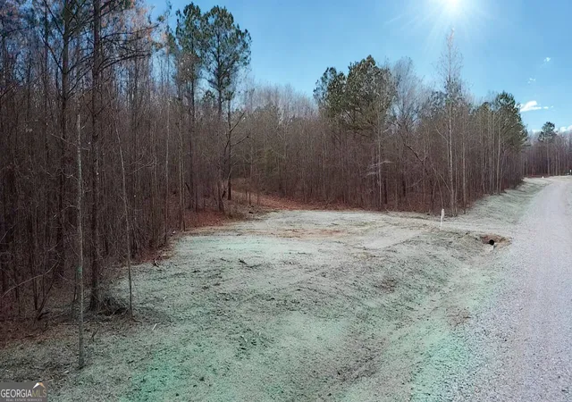 Homes for sale in Barnesville, GA | 144 Berry Rd #LOT 13, Barnesville, GA 30204 | MLS# 10791325