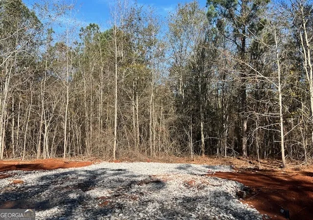 Homes for sale in Barnesville, GA | 144 Berry Rd #LOT 13, Barnesville, GA 30204 | MLS# 10791325