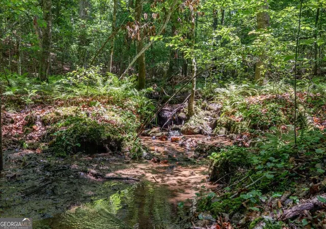 Photo 2 of Land for sale at 5 Ac Solar Dr, Blue Ridge, GA 30513 | MLS# 10801972 | Listing updated on 2026-07-23