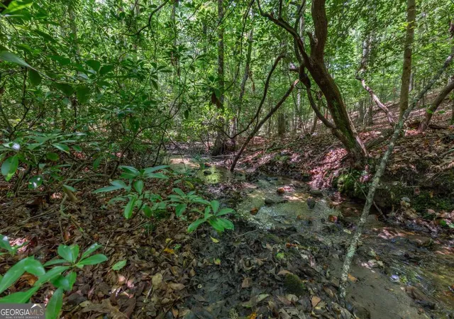 Photo 3 of Land for sale at 5 Ac Solar Dr, Blue Ridge, GA 30513 | MLS# 10801972 | Listing updated on 2026-07-23