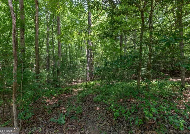 Photo 3 of Land for sale at 5 Ac Solar Dr, Blue Ridge, GA 30513 | MLS# 10801972 | Listing updated on 2026-07-23