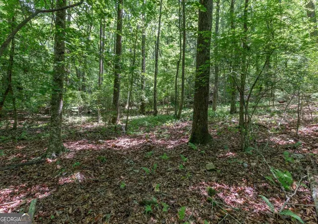Photo 4 of Land for sale at 5 Ac Solar Dr, Blue Ridge, GA 30513 | MLS# 10801972 | Listing updated on 2026-07-23