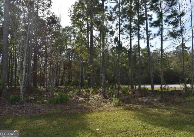 4th image of 104 Baiter Court, St. Marys, GA 31558 | MLS# 10831706