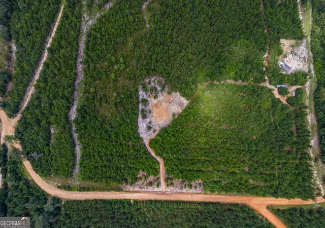 10th image of 381 Findley Cemetery Rd, Lyons, GA 30436 | MLS# 10812381