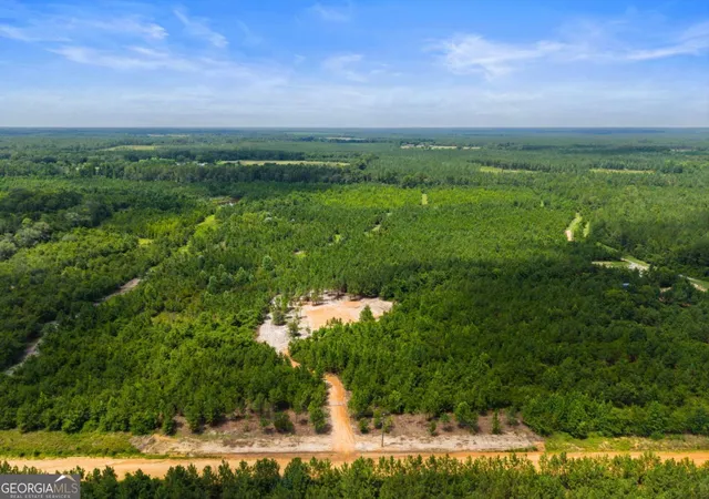 1st image of 381 Findley Cemetery Rd, Lyons, GA 30436 | MLS# 10812381