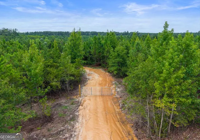 2nd image of 381 Findley Cemetery Rd, Lyons, GA 30436 | MLS# 10812381