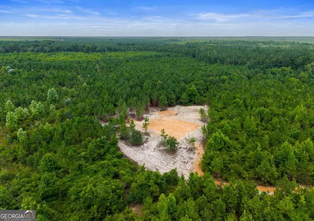 3rd image of 381 Findley Cemetery Rd, Lyons, GA 30436 | MLS# 10812381