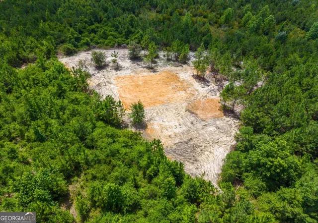 4th image of 381 Findley Cemetery Rd, Lyons, GA 30436 | MLS# 10812381