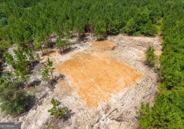 5th image of 381 Findley Cemetery Rd, Lyons, GA 30436 | MLS# 10812381