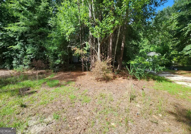 3rd image of 0 Martin Wy, Waynesboro, GA 30830 | MLS# 10824018