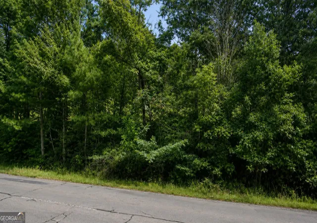Photo 3 of Land for sale at Lot 38 Shattuck Industrial Blvd, Lafayette, GA 30728 | MLS# 10810003 | Listing updated on 2026-09-05