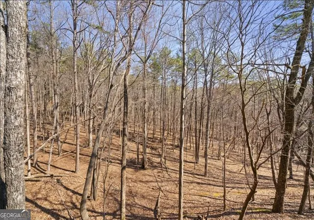29th image of 81 Cardinal Cvs, Jasper, GA 30143 | MLS# 10722910