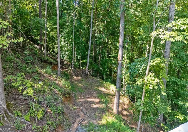 54th image of 30 Chancel Cir #654R, Ellijay, GA 30540 | MLS# 10819358