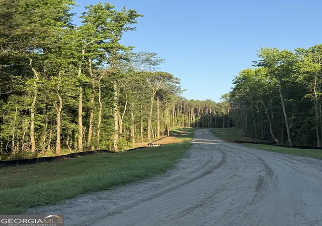 1st image of 0 Benelli Rdg #15, Sharpsburg, GA 30277 | MLS# 10783237