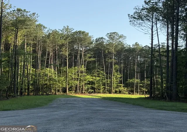 Photo 3 of Land for sale at 0 Benelli Ridge #15, Sharpsburg, GA 30277 | MLS# 10783237 | Listing updated on 2026-07-30