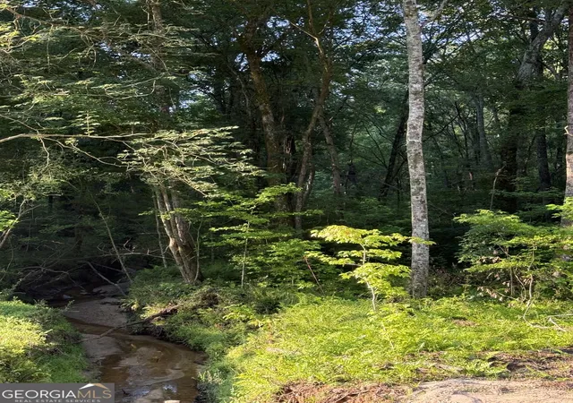 Photo 4 of Land for sale at 0 Benelli Ridge #15, Sharpsburg, GA 30277 | MLS# 10783237 | Listing updated on 2026-07-30
