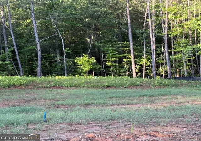 6th image of 0 Benelli Rdg #15, Sharpsburg, GA 30277 | MLS# 10783237