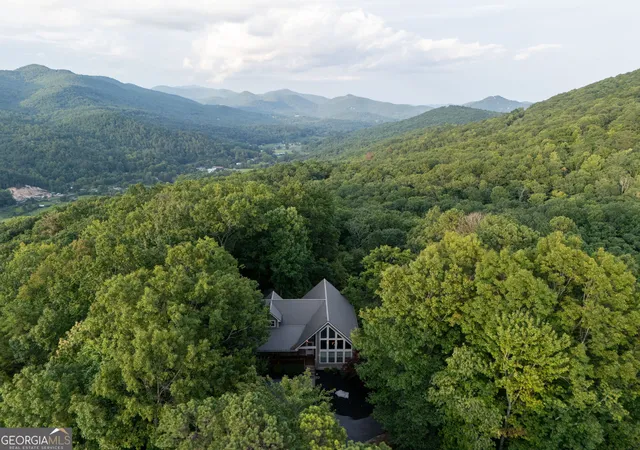 2nd image of 1176 Tiger Pass Dr, Tiger, GA 30576 | MLS# 10825769