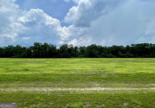 1st image of 146 Weller's Way, Brooklet, GA 30415 | MLS# 10821200