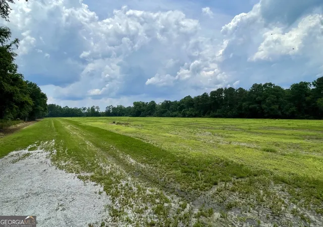 5th image of 146 Weller's Way, Brooklet, GA 30415 | MLS# 10821200