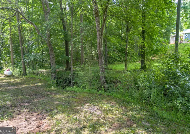 Homes for sale in Roanoke, AL | 315 Woodland Ave, Roanoke, AL 36274 | MLS# 10793405
