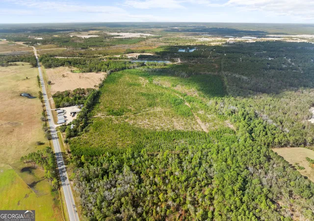 14th image of 0 Hwy 46, Statesboro, GA 30458 | MLS# 10792467