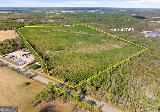 1st image of 0 Hwy 46, Statesboro, GA 30458 | MLS# 10792467