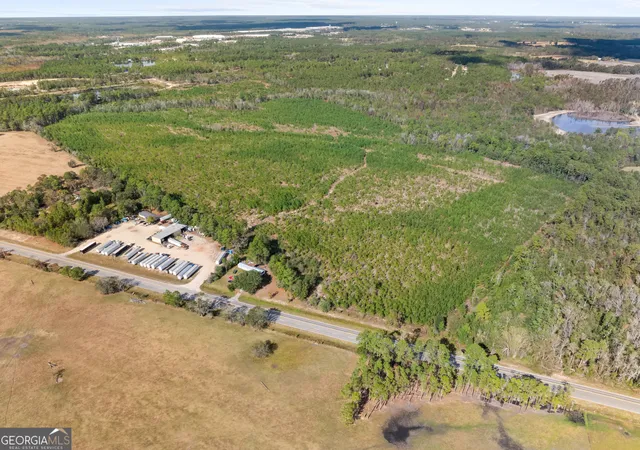 3rd image of 0 Hwy 46, Statesboro, GA 30458 | MLS# 10792467