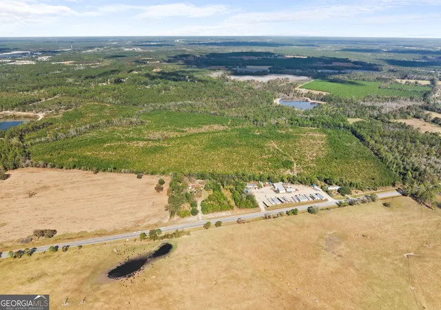 5th image of 0 Hwy 46, Statesboro, GA 30458 | MLS# 10792467