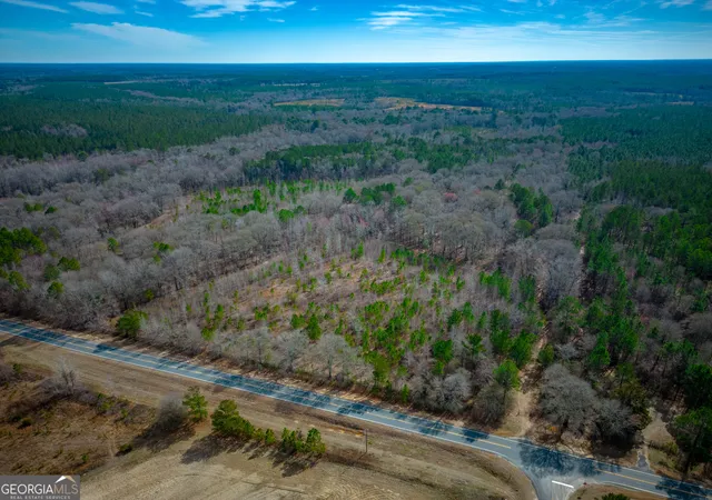 2nd image of 0 Eastman Dublin Hwy, Cadwell, GA 31009 | MLS# 10819825