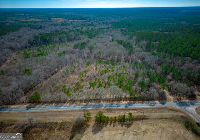 3rd image of 0 Eastman Dublin Hwy, Cadwell, GA 31009 | MLS# 10819825