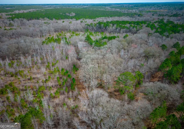 4th image of 0 Eastman Dublin Hwy, Cadwell, GA 31009 | MLS# 10819825