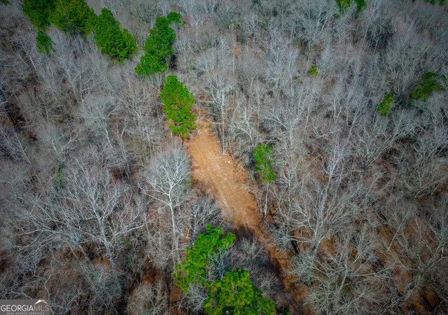 5th image of 0 Eastman Dublin Hwy, Cadwell, GA 31009 | MLS# 10819825
