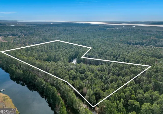 Photo 3 of Land for sale at 0 Steeple Chase Ln, Richmond Hill, GA 31324 | MLS# 20172084 | Listing updated on 2026-09-02