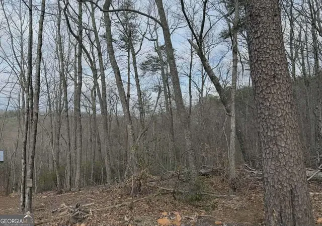 3rd image of Tract B2 Mountain Rdg #TRCTB-2, Blue Ridge, GA 30513 | MLS# 10726326