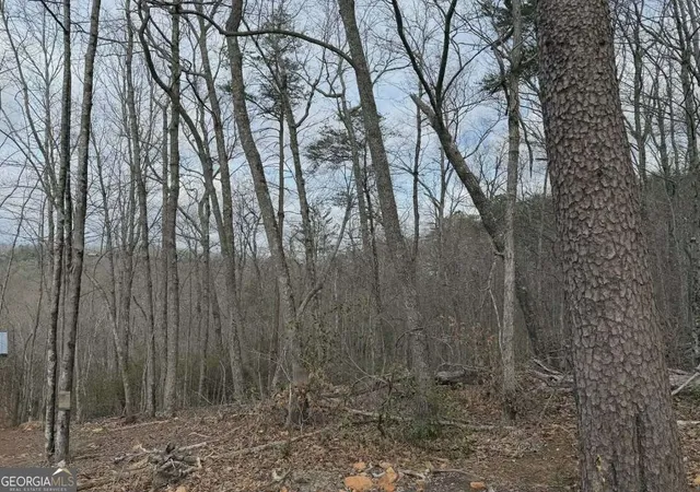 4th image of Tract B2 Mountain Rdg #TRCTB-2, Blue Ridge, GA 30513 | MLS# 10726326