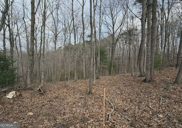 5th image of Tract B2 Mountain Rdg #TRCTB-2, Blue Ridge, GA 30513 | MLS# 10726326
