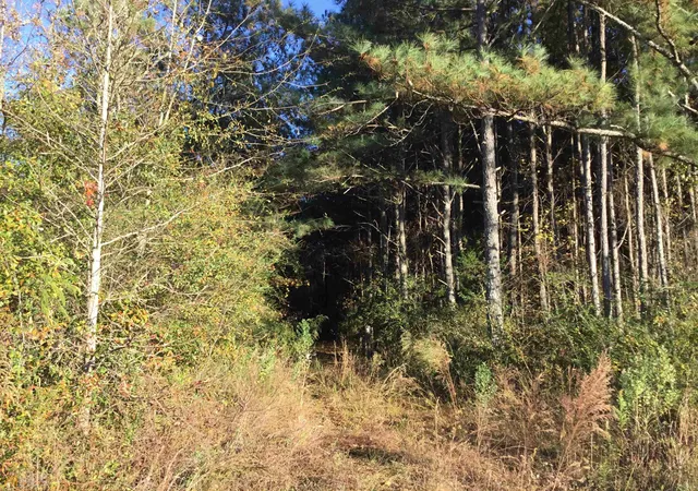 Photo 3 of Sale Pending at S Lester Mill Rd Sw, Locust Grove, GA 30248 | MLS# 10126503 | Listing updated on 2026-08-03