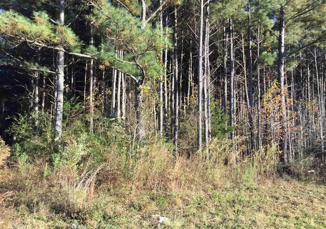 Photo 4 of Sale Pending at S Lester Mill Rd Sw, Locust Grove, GA 30248 | MLS# 10126503 | Listing updated on 2026-08-03