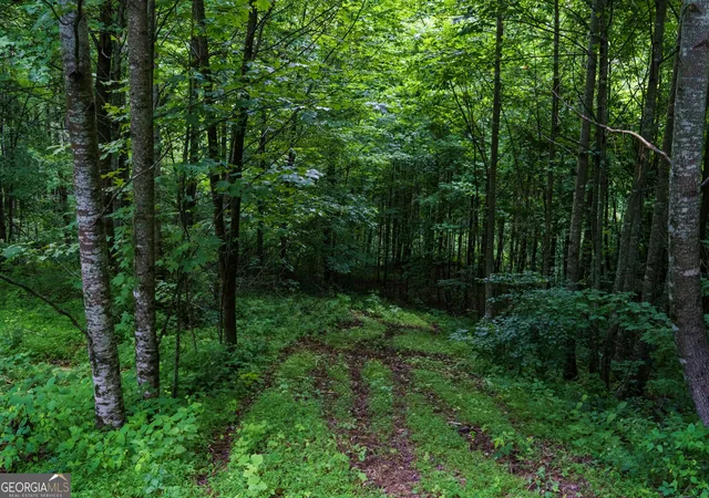 Photo 4 of Land for sale at Lot M2 Georgianna Ln, Bryson City, NC 28713 | MLS# 10693784 | Listing updated on 2026-07-10