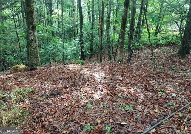 1st image of 0 Lot 3 Jiminy Peak, Sky Valley, GA 30537 | MLS# 10805565