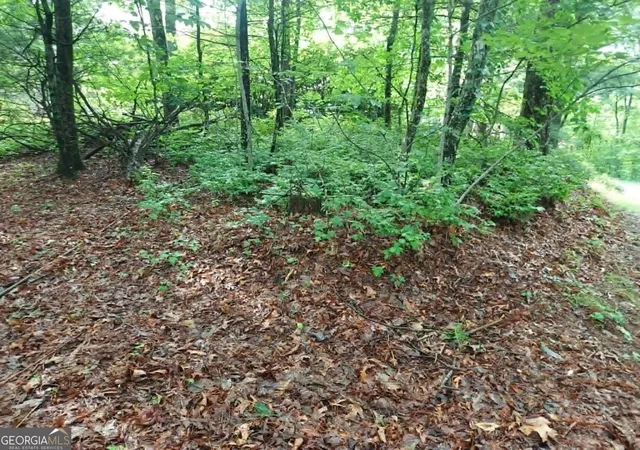 2nd image of 0 Lot 3 Jiminy Peak, Sky Valley, GA 30537 | MLS# 10805565