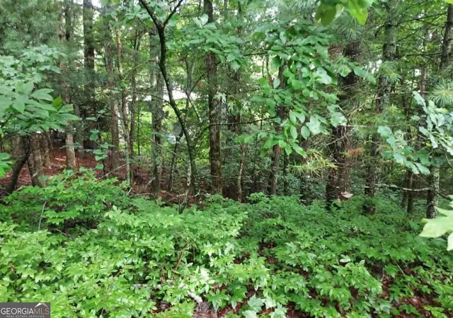 3rd image of 0 Lot 3 Jiminy Peak, Sky Valley, GA 30537 | MLS# 10805565