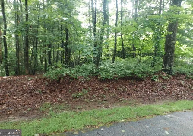 4th image of 0 Lot 3 Jiminy Peak, Sky Valley, GA 30537 | MLS# 10805565